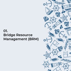 Bridge Resource Management (BRM)