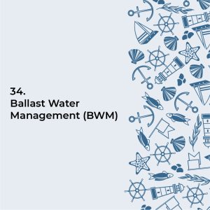 Ballast Water Management (BWM)