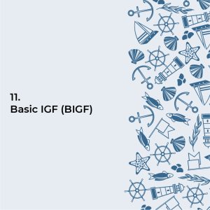 Basic IGF (BIGF)